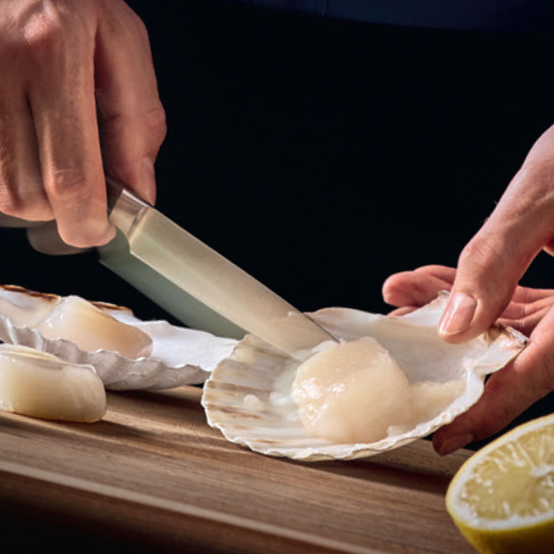 Oyster Knives