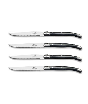 Flying Colors Laguiole Style Steak Knife Set, Stainless Steel, Colorful  Handles - China Laguiole Steak Knife and Serrated Blade Knife price