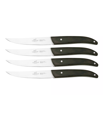 Lion Sabatier® Occitan 4 Piece Steak Knife Set